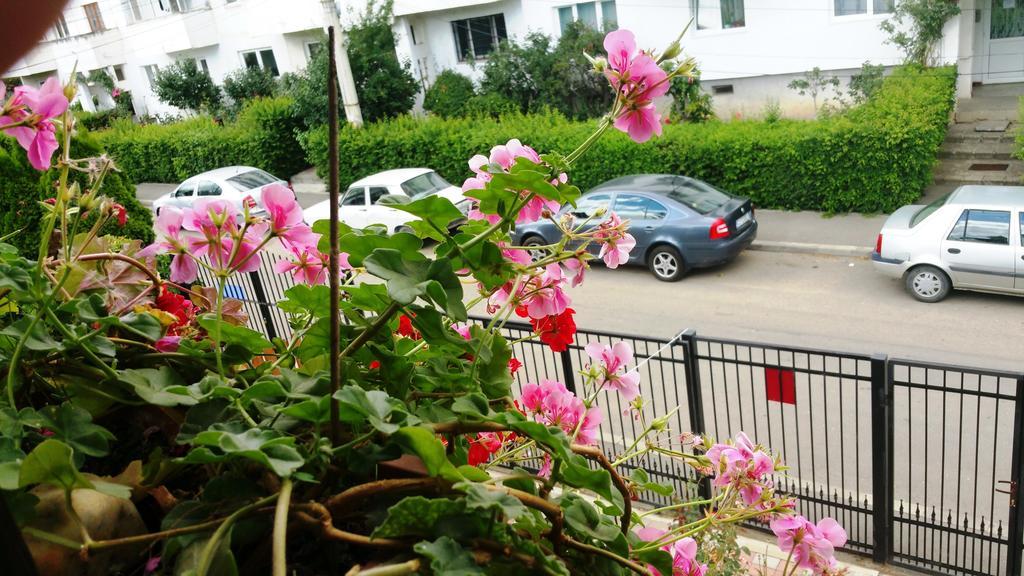 Lucas 38 Apartments Kolozsvár Kültér fotó